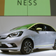 Yes, it’s the Fit NESS. Photo Credit: Raphael Orlove/Jalopnik